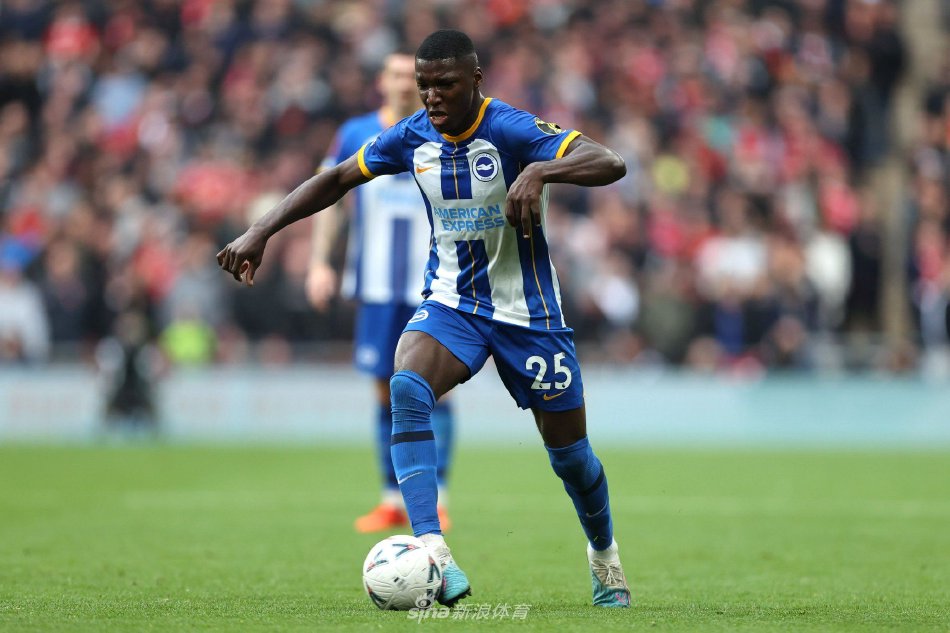 罗的作用 罗的作用